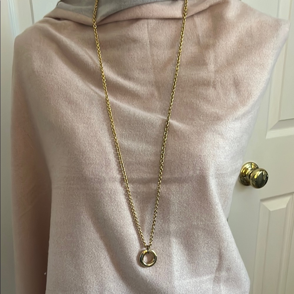 Long Chain Gold Tone Circle Pendant